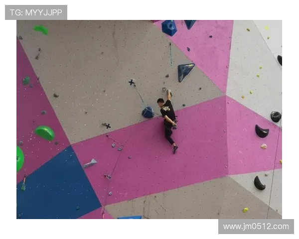 武汉攀岩队与重庆攀岩队赛后心理素质分析与反思