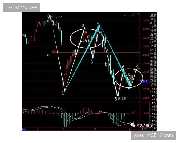 武汉篮球队包夹战术深度解析与实战应用探讨